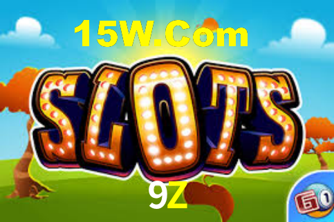 Premium Interface 9Z